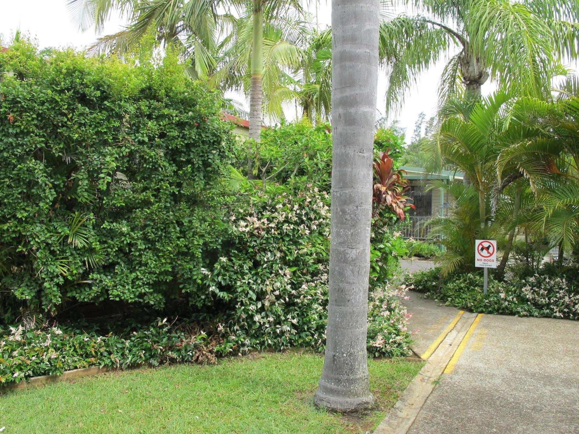 Melaleuca Caravan Park ポート・マッコリー エクステリア 写真
